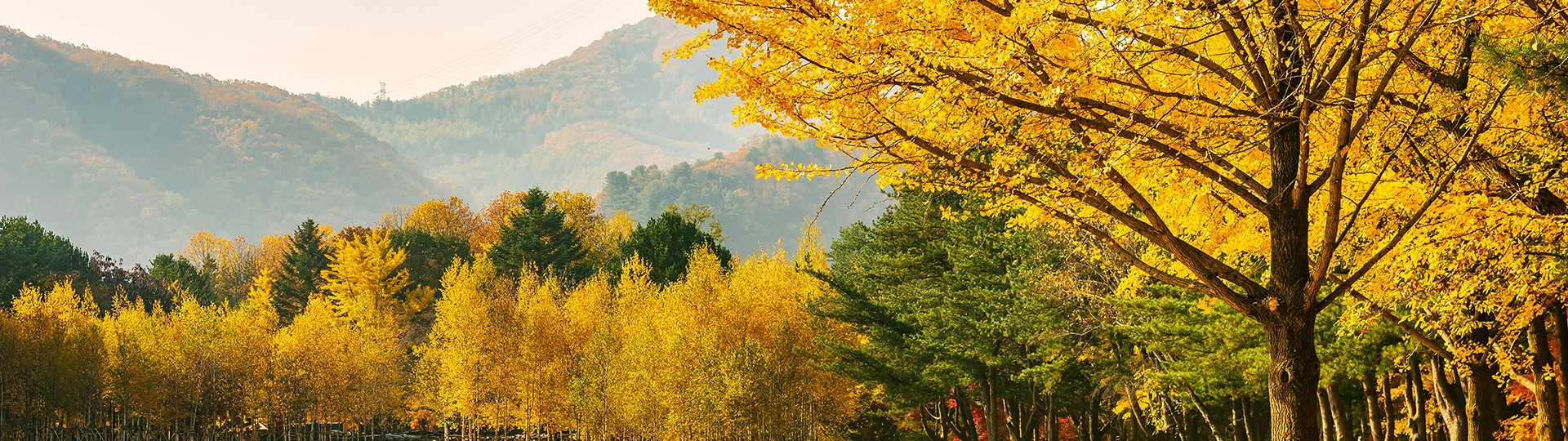 서브 비주얼 1