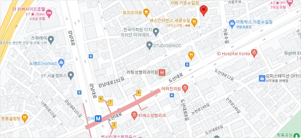 구글 지도 API 적용 예시 — 신사역 인근 회사 위치 마커 표시